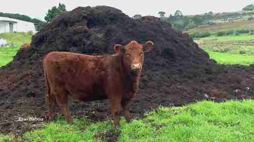 如何改良菜园中的重粘土