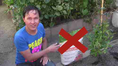 种植大型蔬菜的3种肥料