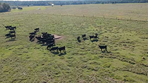 干草的质量和取样