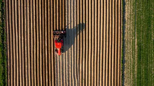 生产优质干草的方法