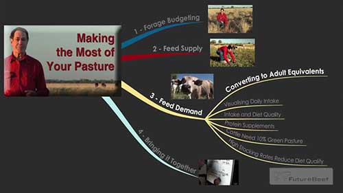 牲畜的饲料需求量