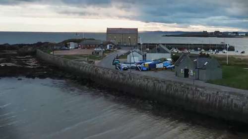 一家餐厅的农产品采购