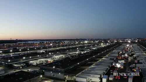 疫情中的纽约食品供应链