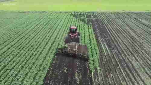 北卡罗来纳州的一项食品供应链计划