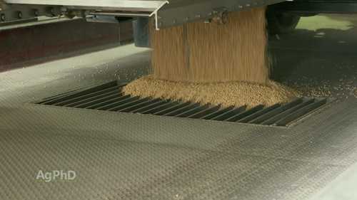 粮食可以储存多久