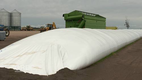 用谷物袋储存粮食