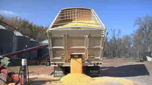 玉米的烘干处理