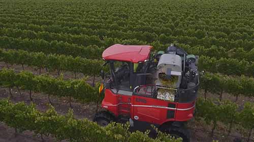 ERO6000型葡萄收割机