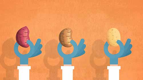 如何核查食品的质量