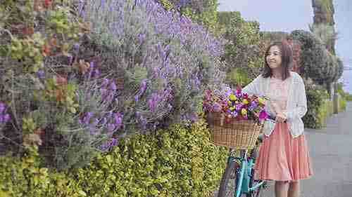 在爱尔兰种植鲜花