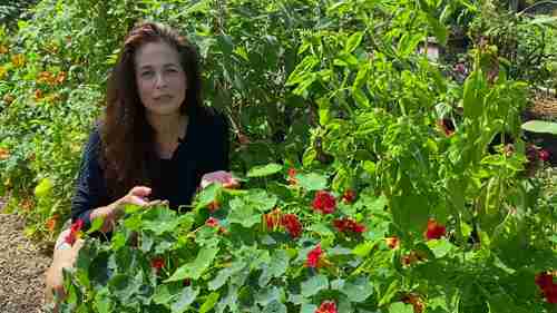 自己收集和保存植物种子