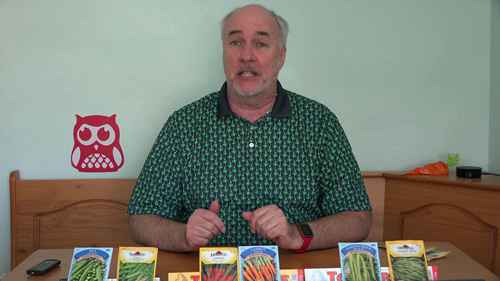 自产种子和商店购买种子