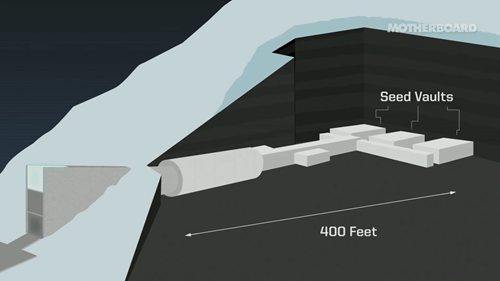 探访北极的全球种子库