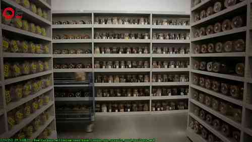 英国皇家植物园种子中心项目