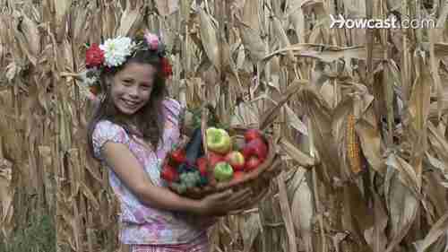 如何保留原生种子