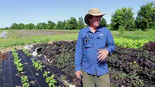 保存最优质最经济的种子