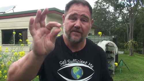 种子的保存技巧