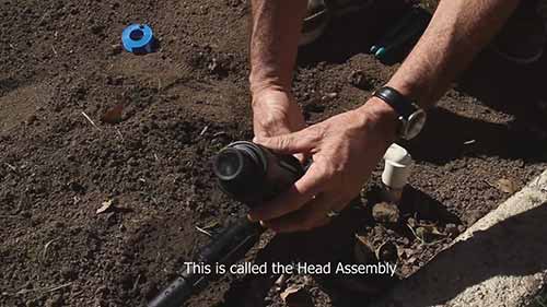 如何安装滴灌系统 1