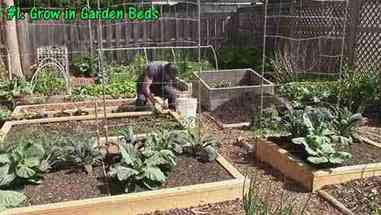 如何在花园种植更多作物