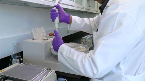 玉米粉中的蛋白质测定