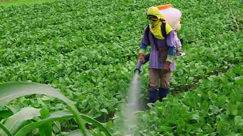 农药残留检测试剂盒