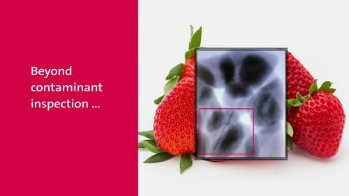 利用X射线技术检验水果蔬菜