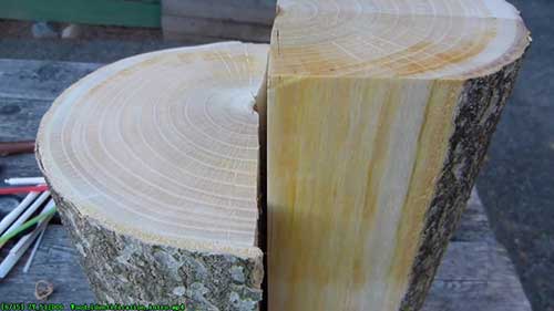 木材识别知识简介