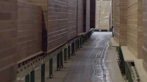 一种新型的木材