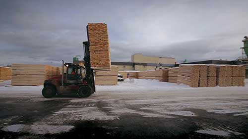 加拿大哥伦比亚省（B.C）的木材资源