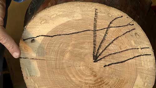 木材的切割方式