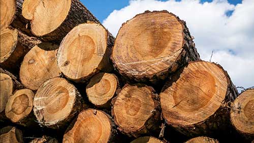 模块化木质家具生产