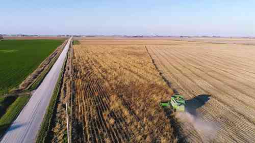 种植覆盖类经济作物