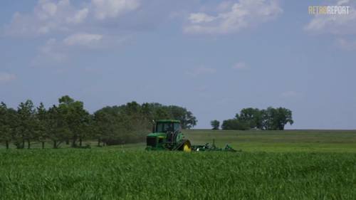 经济作物的有机耕作