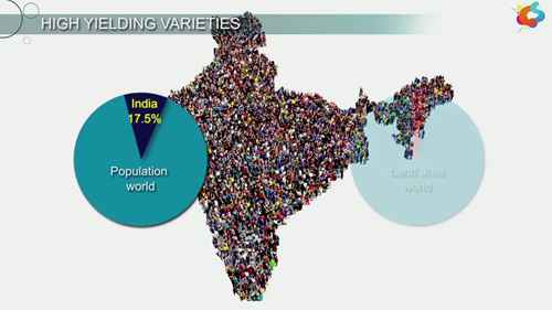 经济作物的高产品种