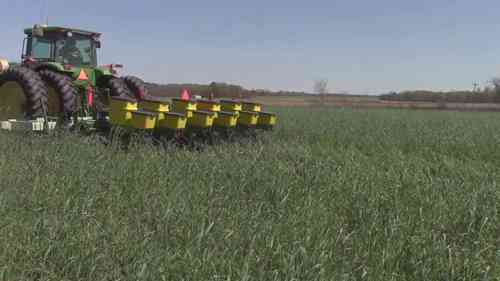 经济作物的秘密分享