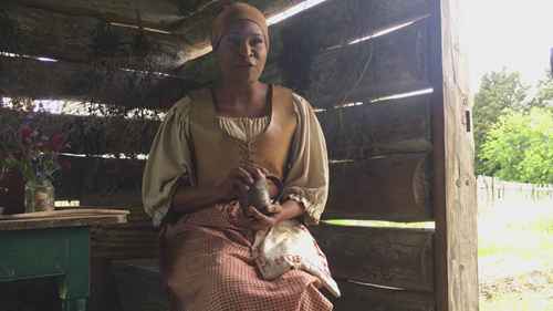 烟草：重要的经济作物