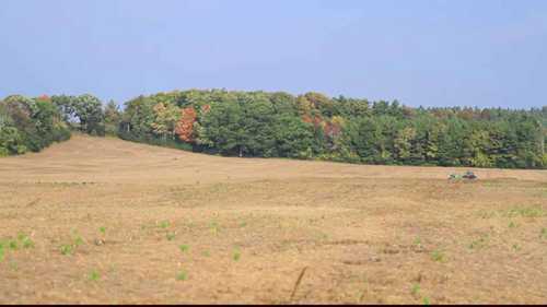 诺森伯兰郡的经济作物