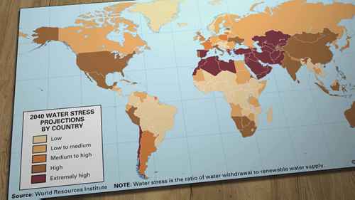 美国的经济作物