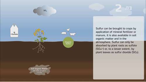 农业中的硫循环