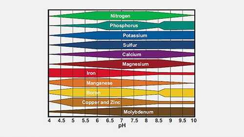 家禽饲料和粪便中的金属毒性