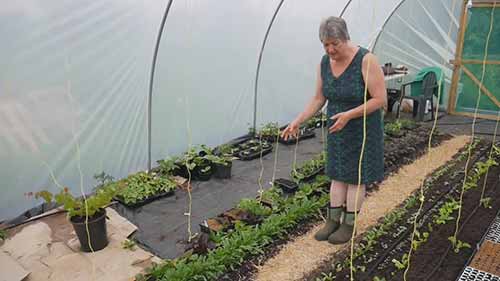 易浸水软管DIY滴灌