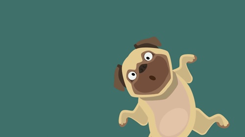 宠物需要帮助的10种警告信号