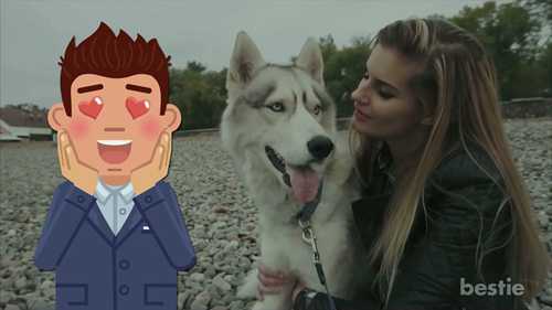 你可能正在伤害你的宠物狗