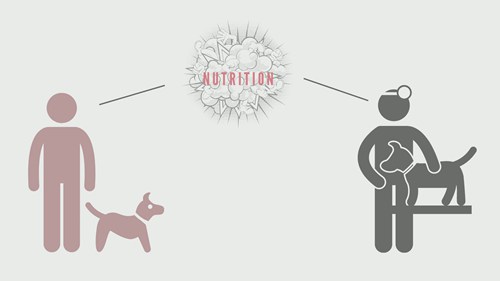 为什么宠物不要吃生食