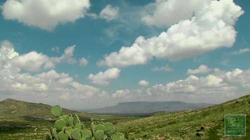 德州公园的人造湿地