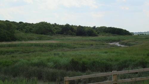 了解湿地自然保护区