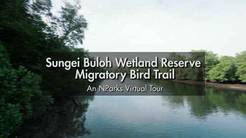 双溪布洛湿地保护区