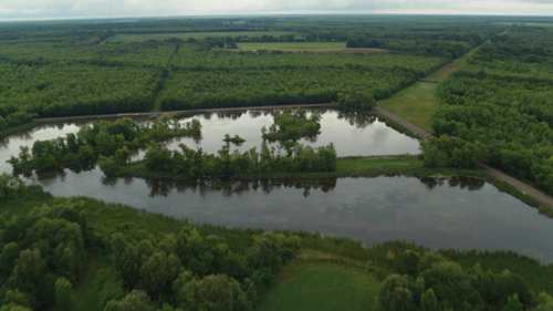 湿地资源的发展