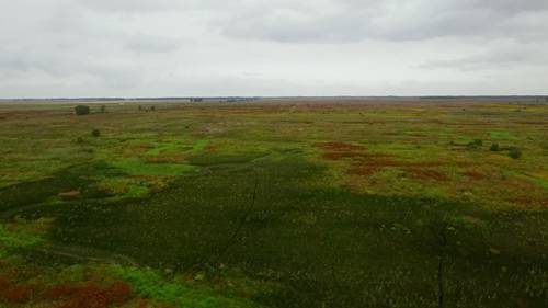 印第安纳州的草原景观