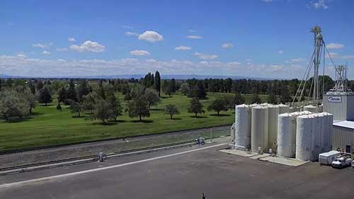 牲畜饲料的营养